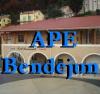 Ape