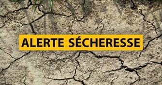 Gestion de la secheresse large