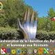 Invitation commemoratin liberation des pailons 29 08 2023 1 jpg