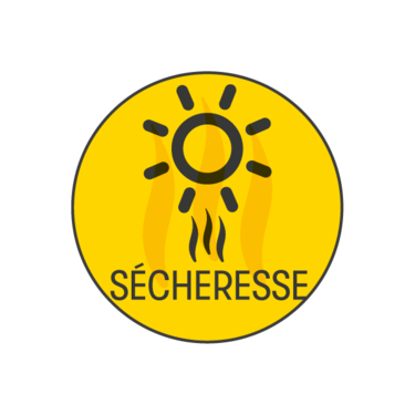 Secheresse 1